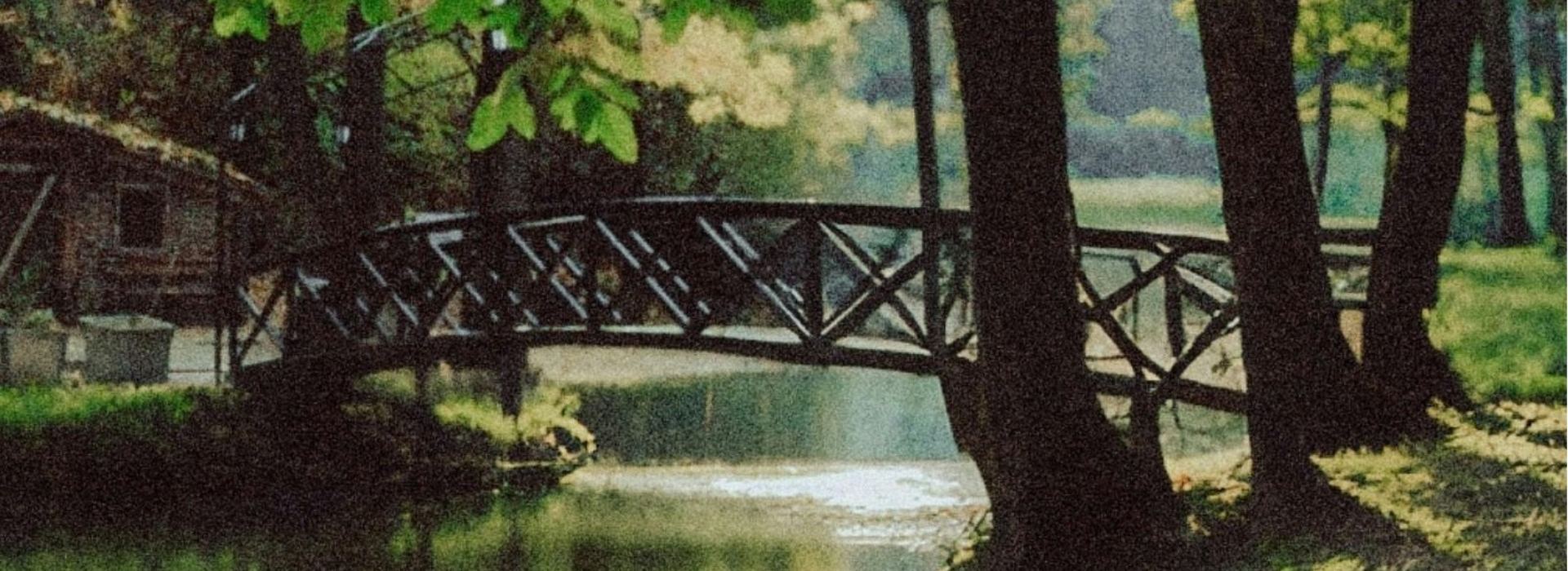 Bridge for home page