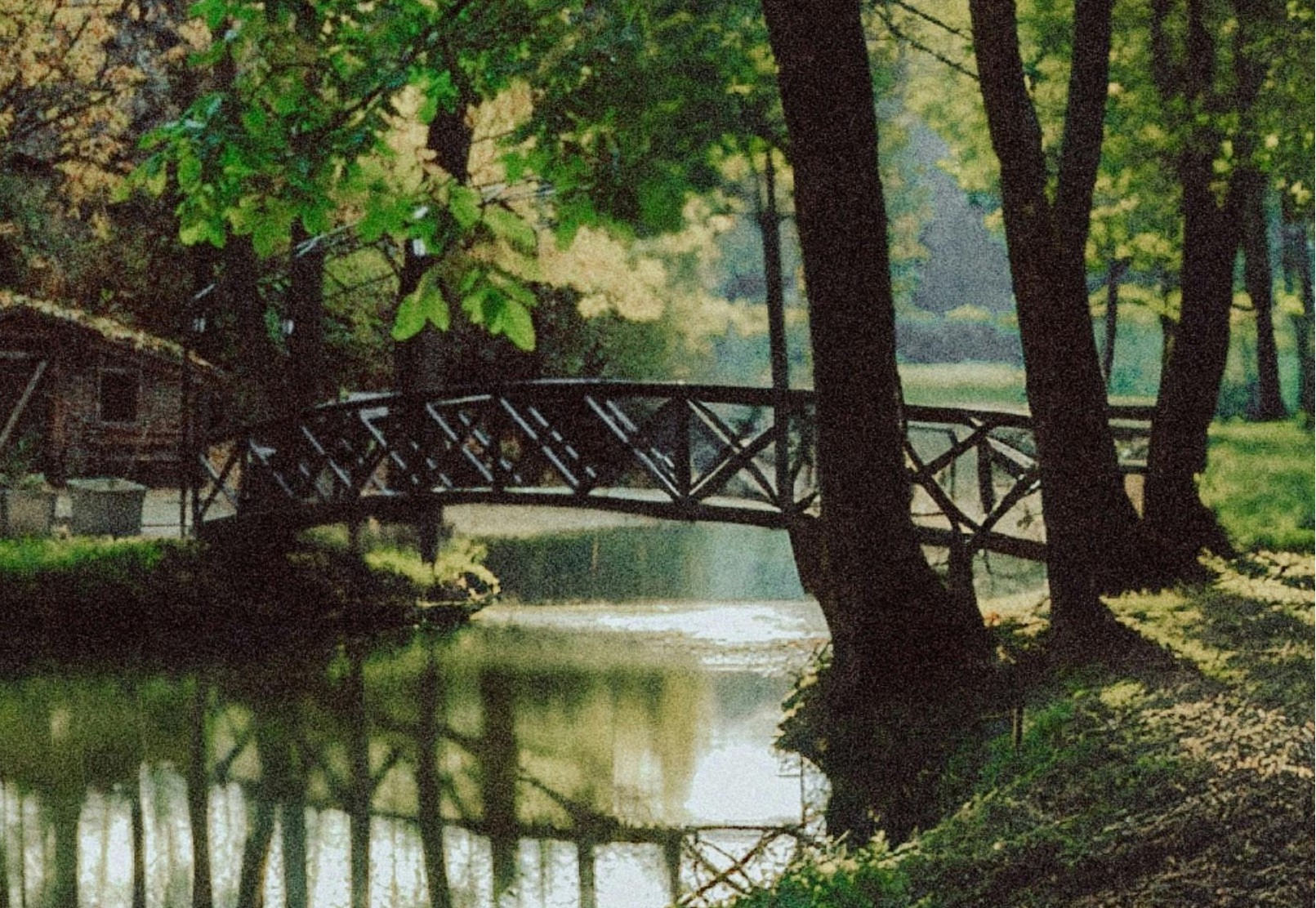 Bridge for home page